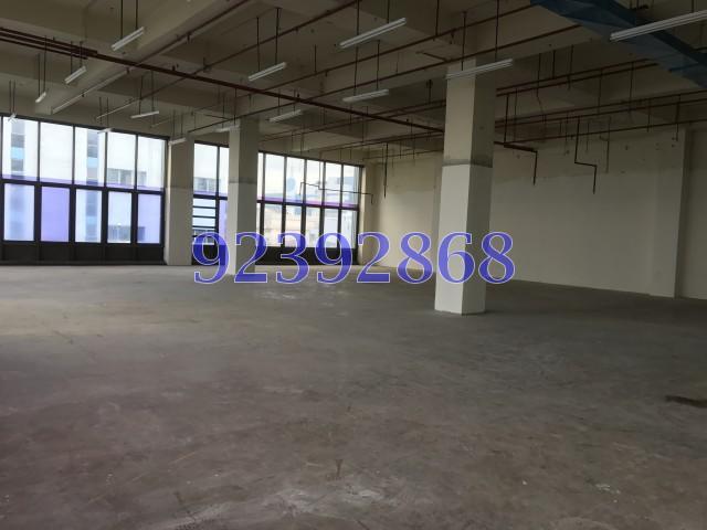 Sindo Industrial Building (D13), Factory #144585352